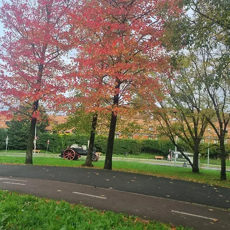 Vivienda Ideal Familias En * 산세바스티안